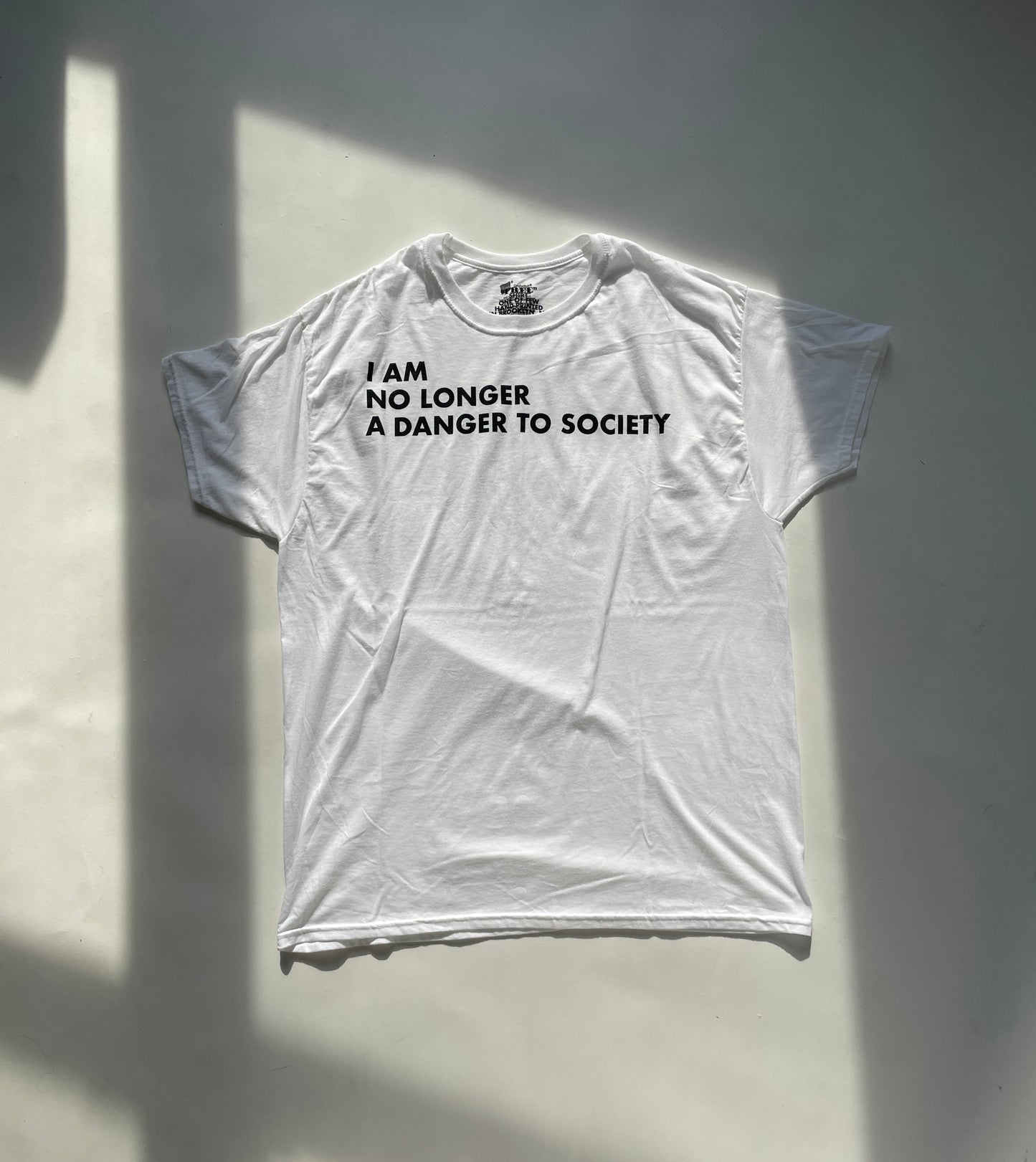 NO LONGER A DANGER T-SHIRT
