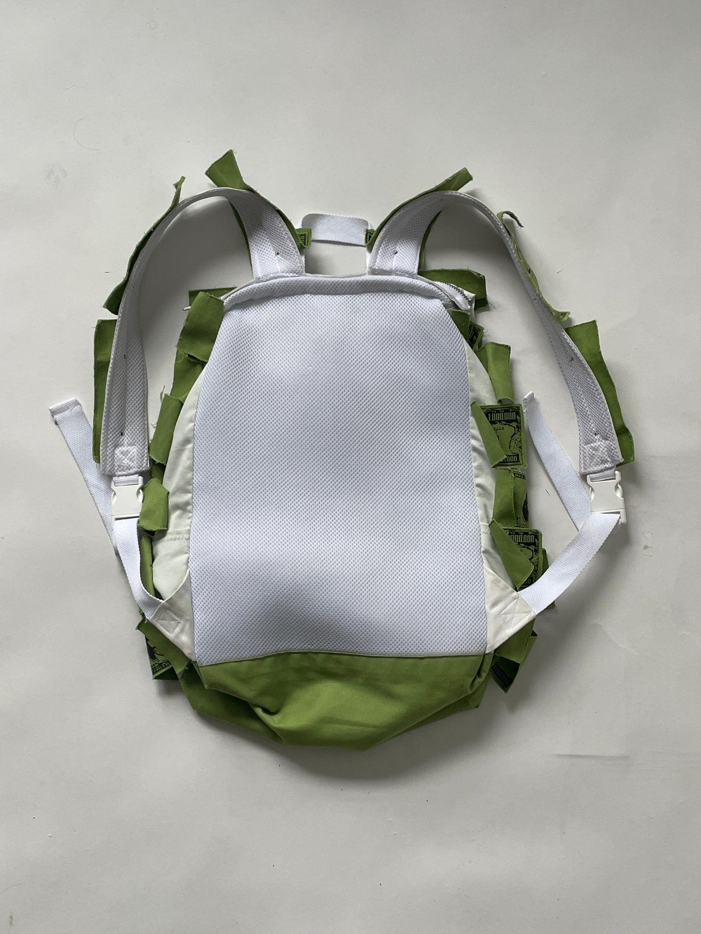 MILLION DOLLAR BACKPACK